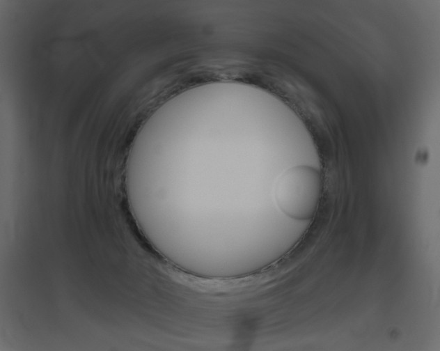 X0000096630030200802050944