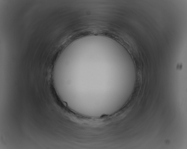 X0000096630032200802050944