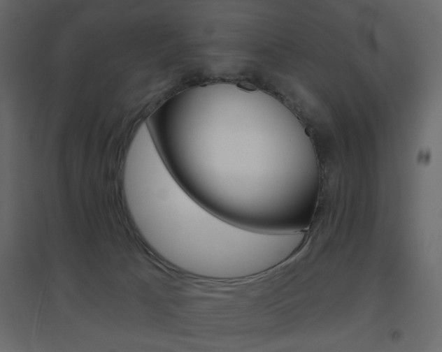 X0000096630033200802050944