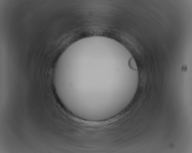 X0000096630034200802050944
