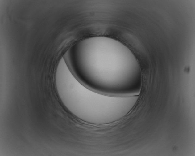 X0000096630035200802050944