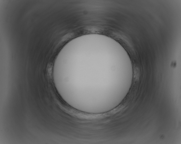 X0000096630036200802050944