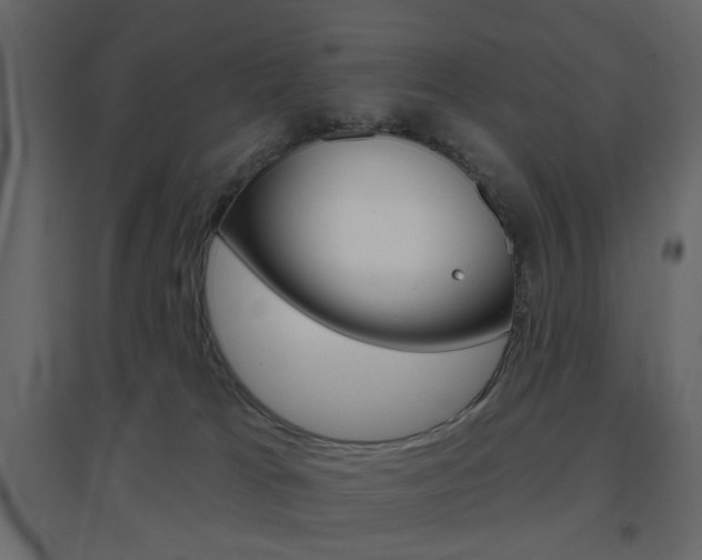 X0000096630037200802050944