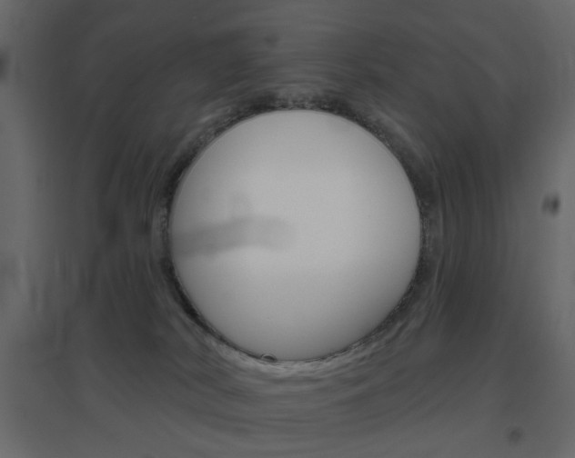 X0000096630038200802050944