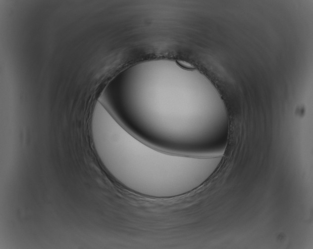 X0000096630039200802050944