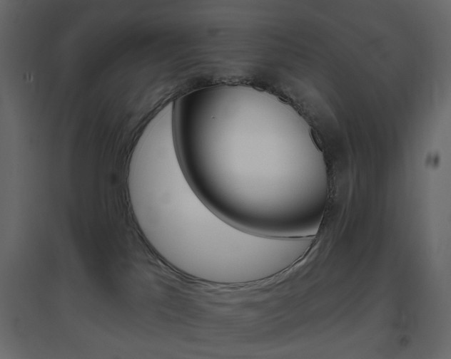 X0000096630041200802050944