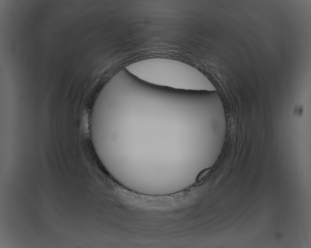 X0000096630042200802050944