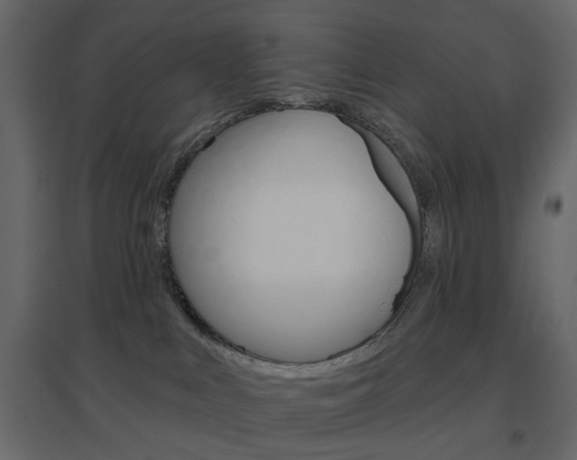X0000096630043200802050944