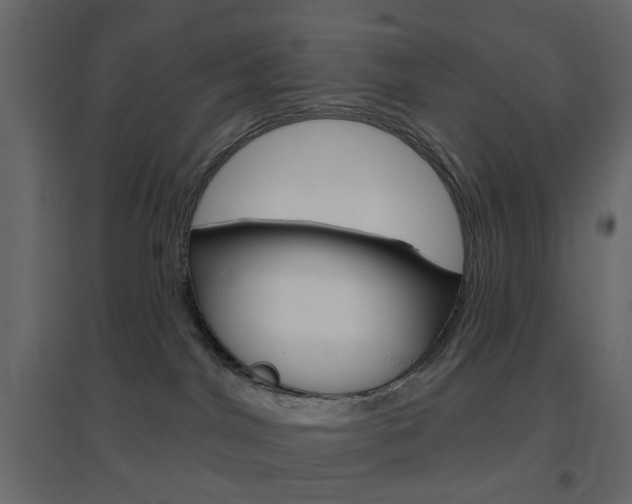 X0000096630044200802050944