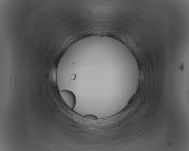 X0000096630046200802050944
