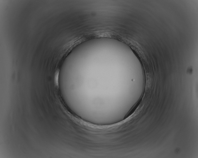 X0000096630047200802050944