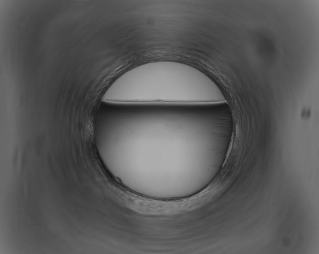 X0000096630048200802050944