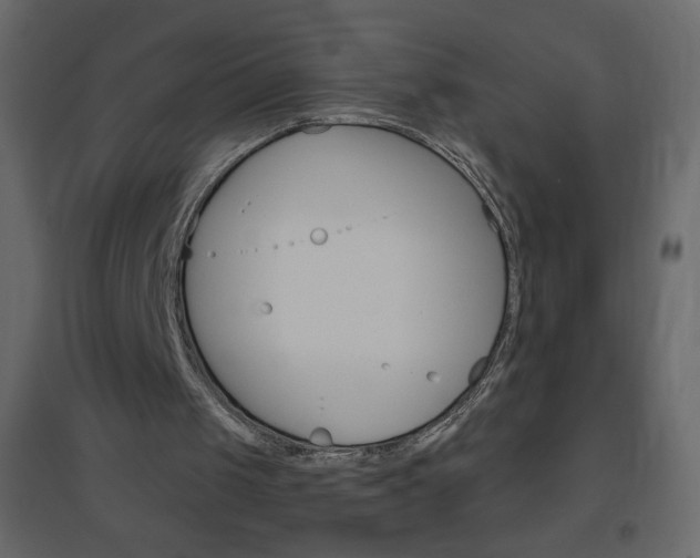 X0000096630049200802050944