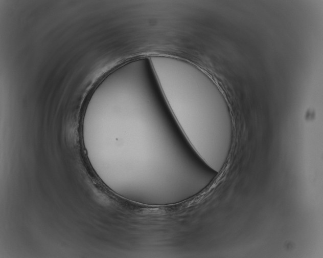 X0000096630050200802050944
