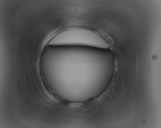 X0000096630051200802050944