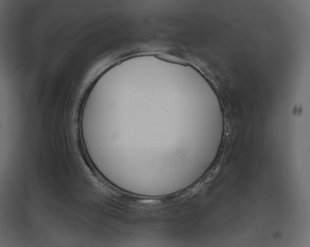 X0000096630053200802050944