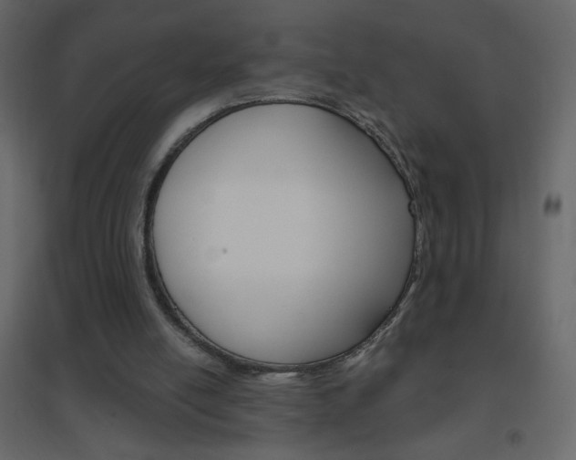 X0000096630054200802050944