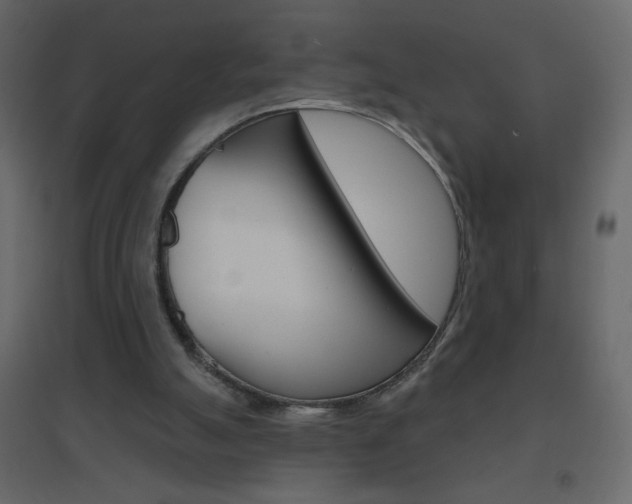 X0000096630055200802050944