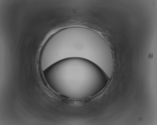X0000096630056200802050944