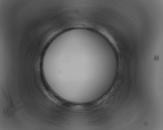 X0000096630058200802050944