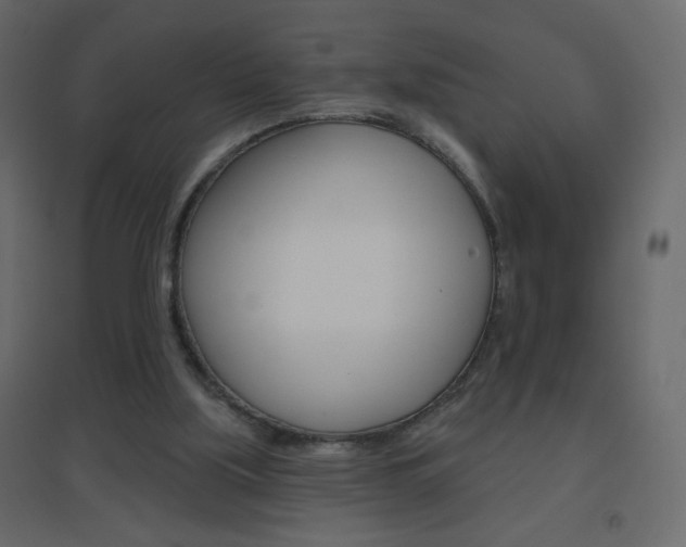 X0000096630059200802050944