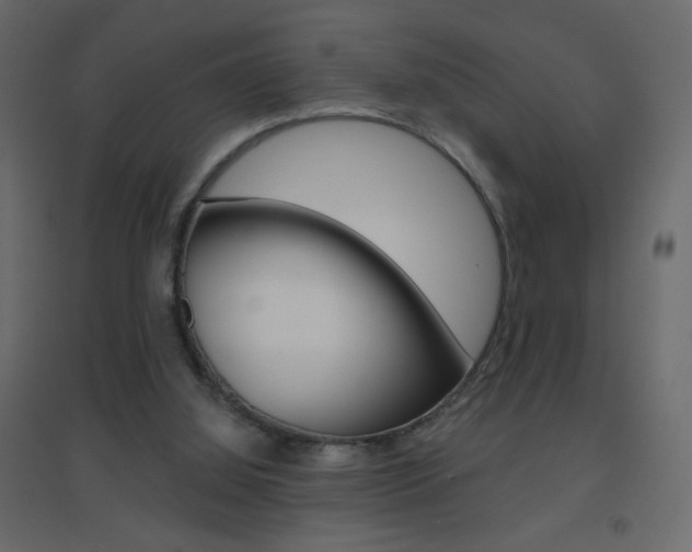 X0000096630060200802050944