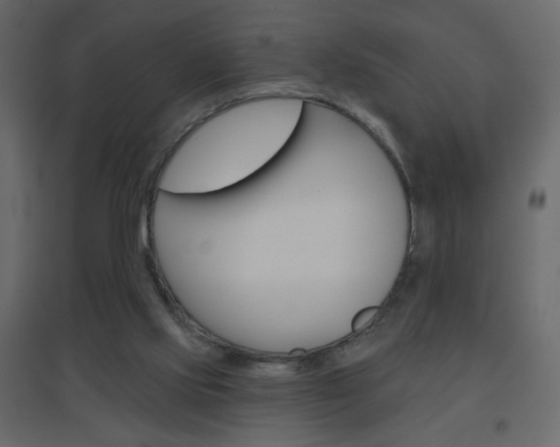 X0000096630061200802050944