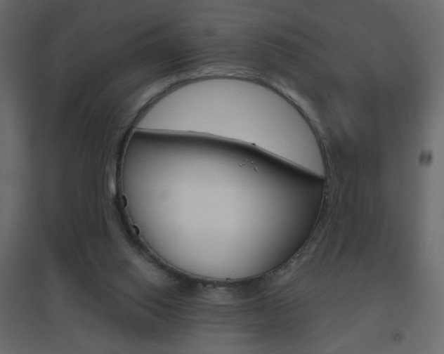 X0000096630062200802050944