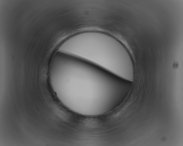 X0000096630063200802050944