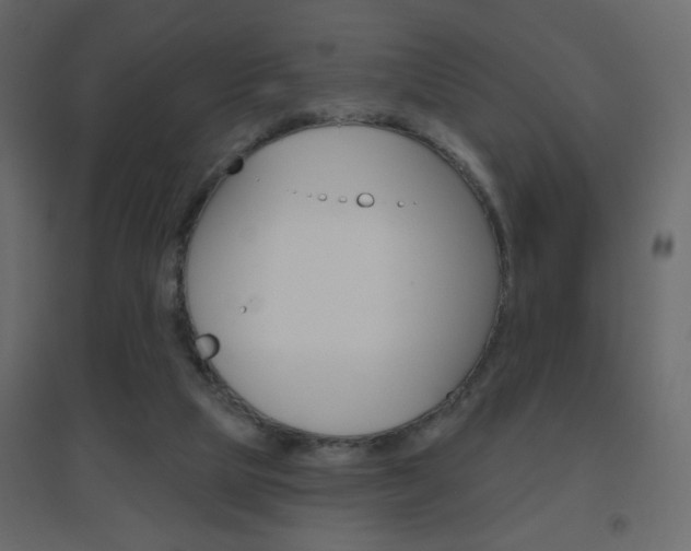 X0000096630065200802050944
