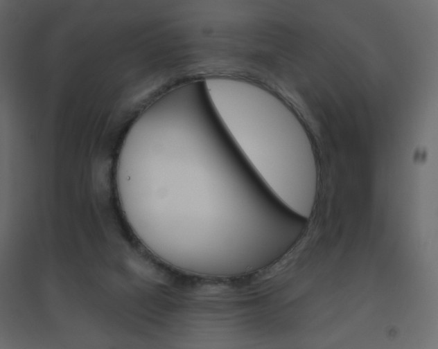 X0000096630066200802050944