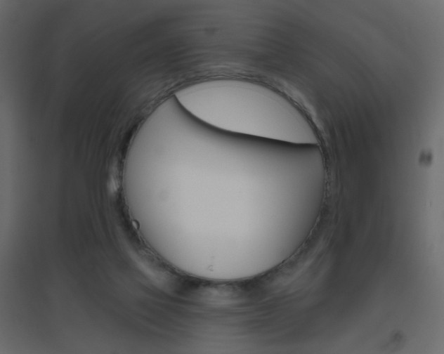 X0000096630069200802050944