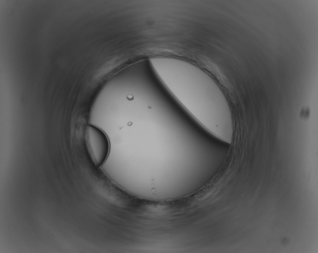 X0000096630071200802050944