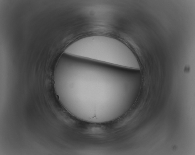 X0000096630073200802050944