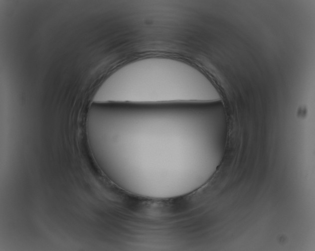 X0000096630074200802050944