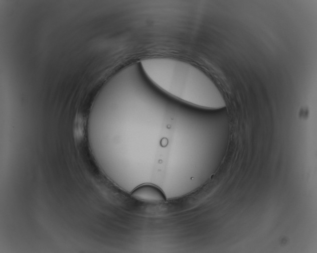X0000096630075200802050944