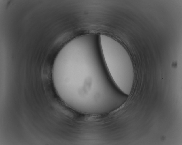 X0000096630078200802050944