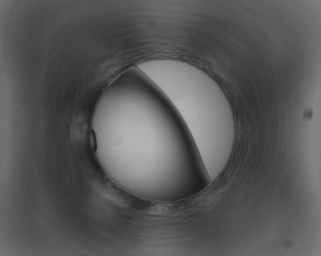 X0000096630080200802050944