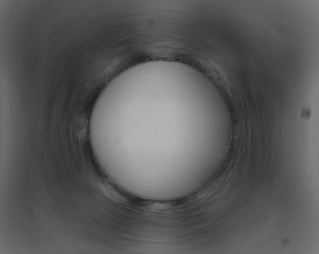X0000096630081200802050944