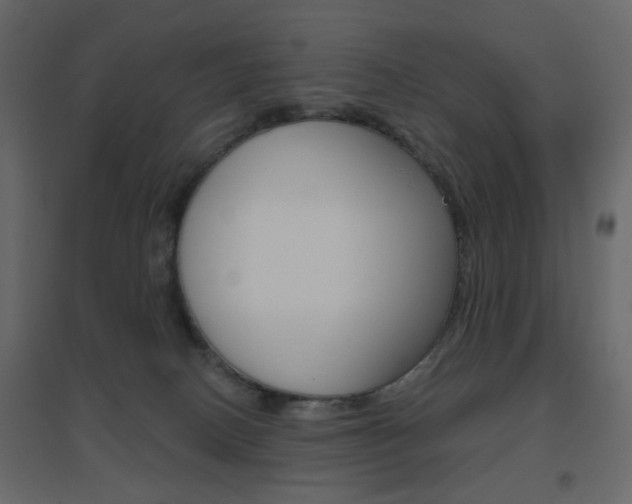 X0000096630082200802050944