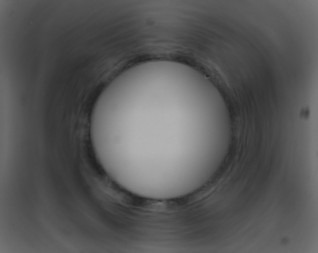X0000096630083200802050944