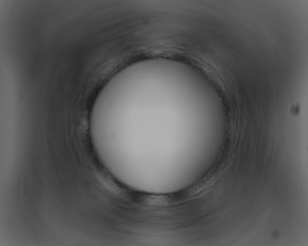 X0000096630085200802050944