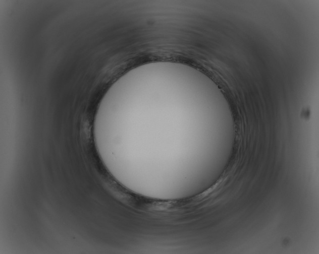 X0000096630086200802050944