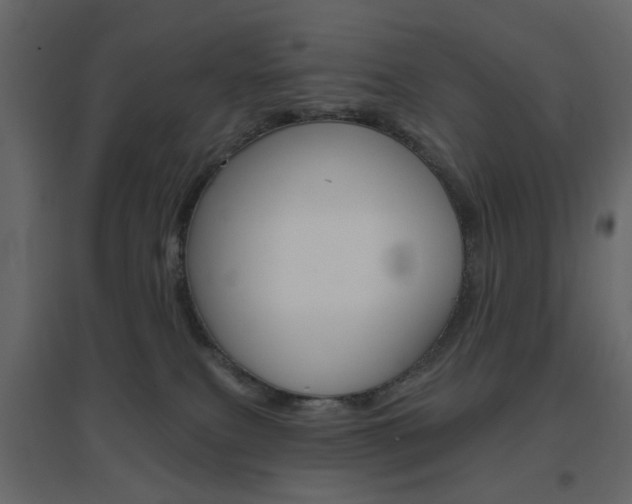 X0000096630087200802050944