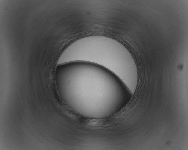 X0000096630088200802050944