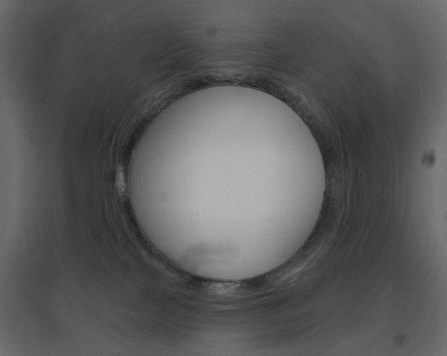 X0000096630089200802050944