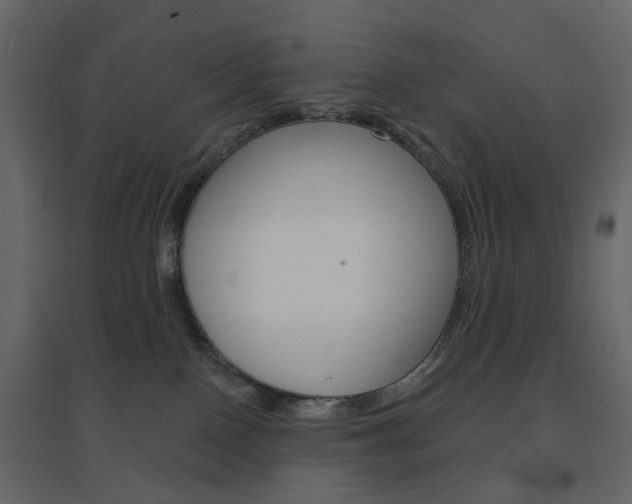 X0000096630090200802050944