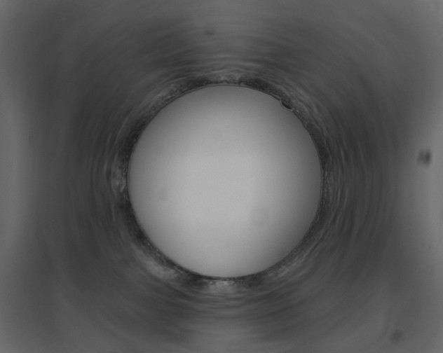 X0000096630091200802050944