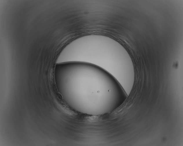 X0000096630092200802050944