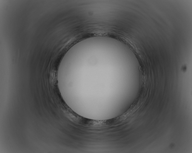 X0000096630093200802050944